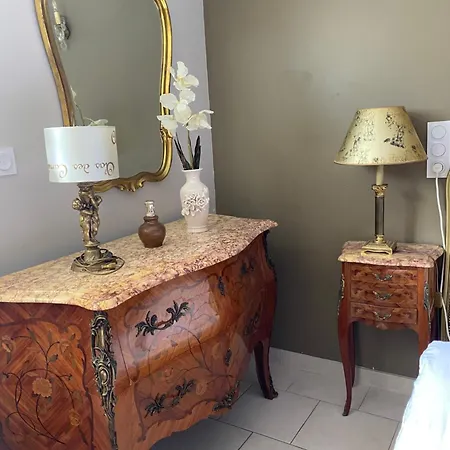 公寓 Le Petit Clos Des Camelias, Pmr Proche De La